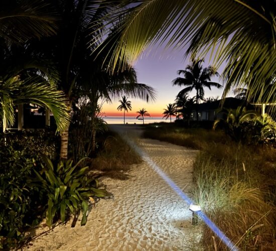 Peaceful Evening Nassau Bahamas beach scene with palm trees and white sand.