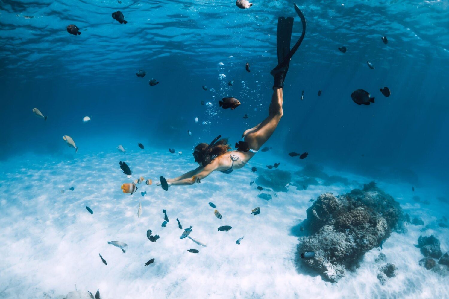 Snorkeling in Nassau with stunning underwater views, the best Nassau Bahamas snorkeling.