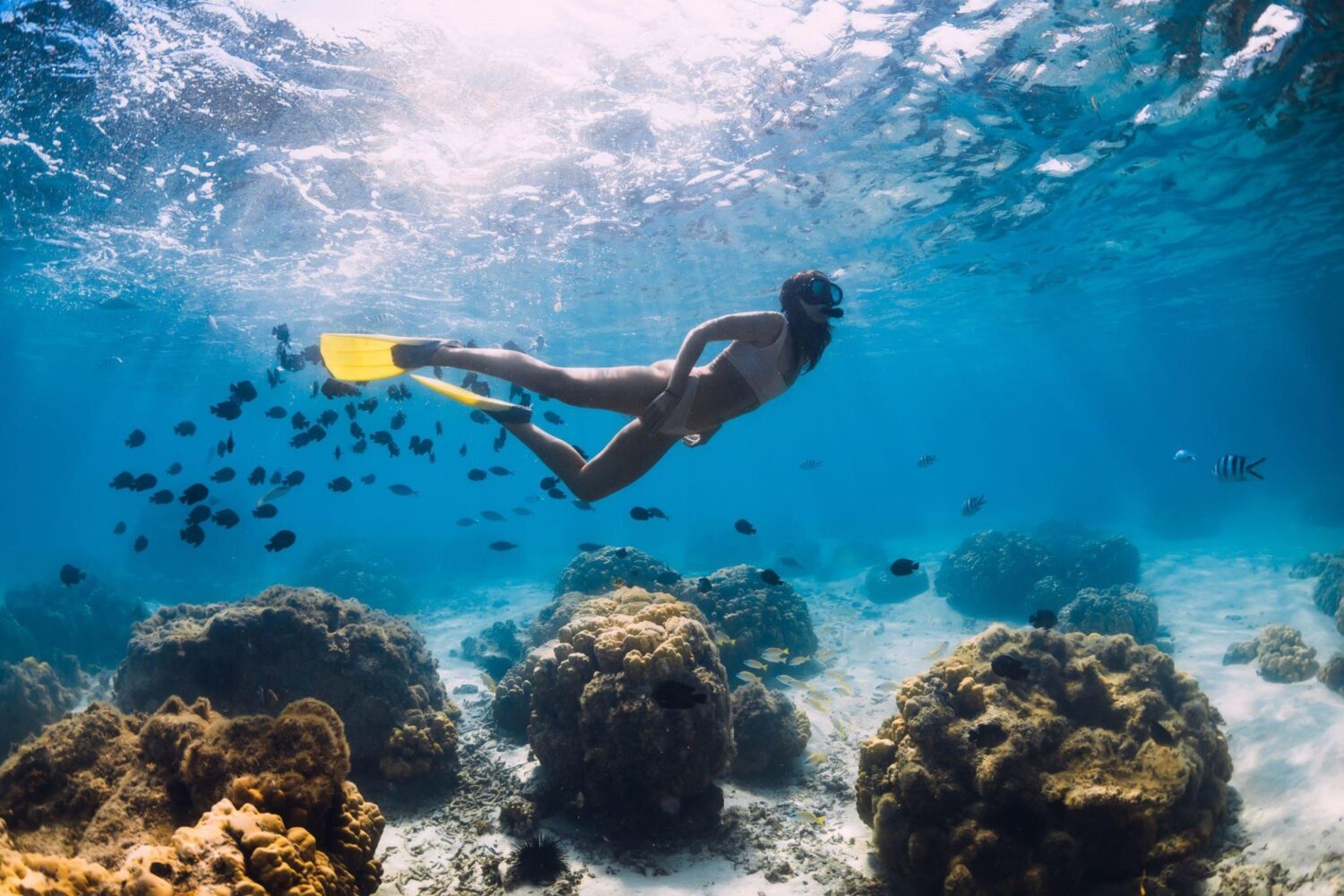 Snorkeling Nassau Bahamas, diving into crystal-clear waters for an unforgettable adventure