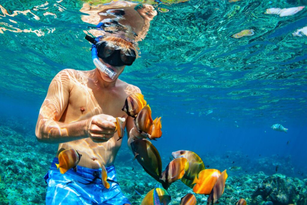 Private Nassau Snorkeling Tour in Bahamas | J.Co Charters