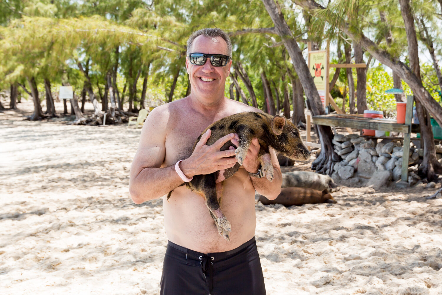 Beach fun with swimming pigs on Rose Island Bahamas tour.