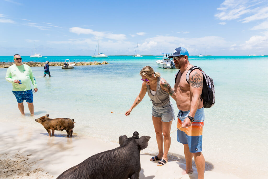 Swimming with Pigs Nassau Bahamas | Rose Island Half Day Tour