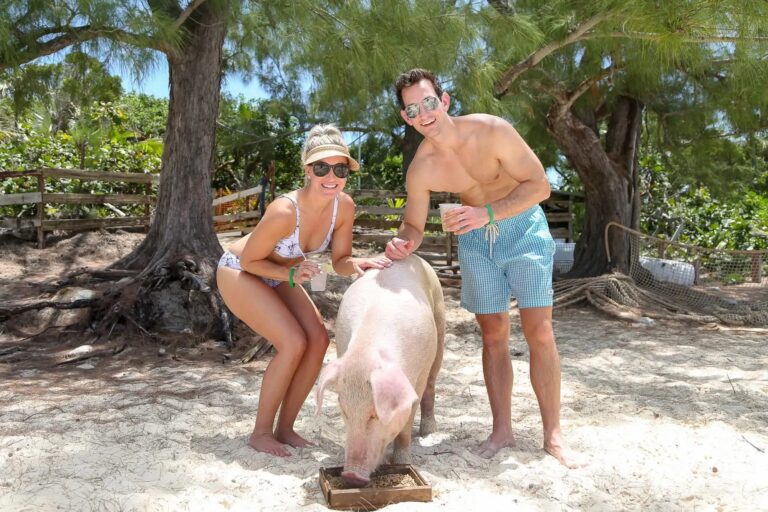 Family swimming with the famous pigs at Rose Island near Nassau, Bahamas during a private boat tour