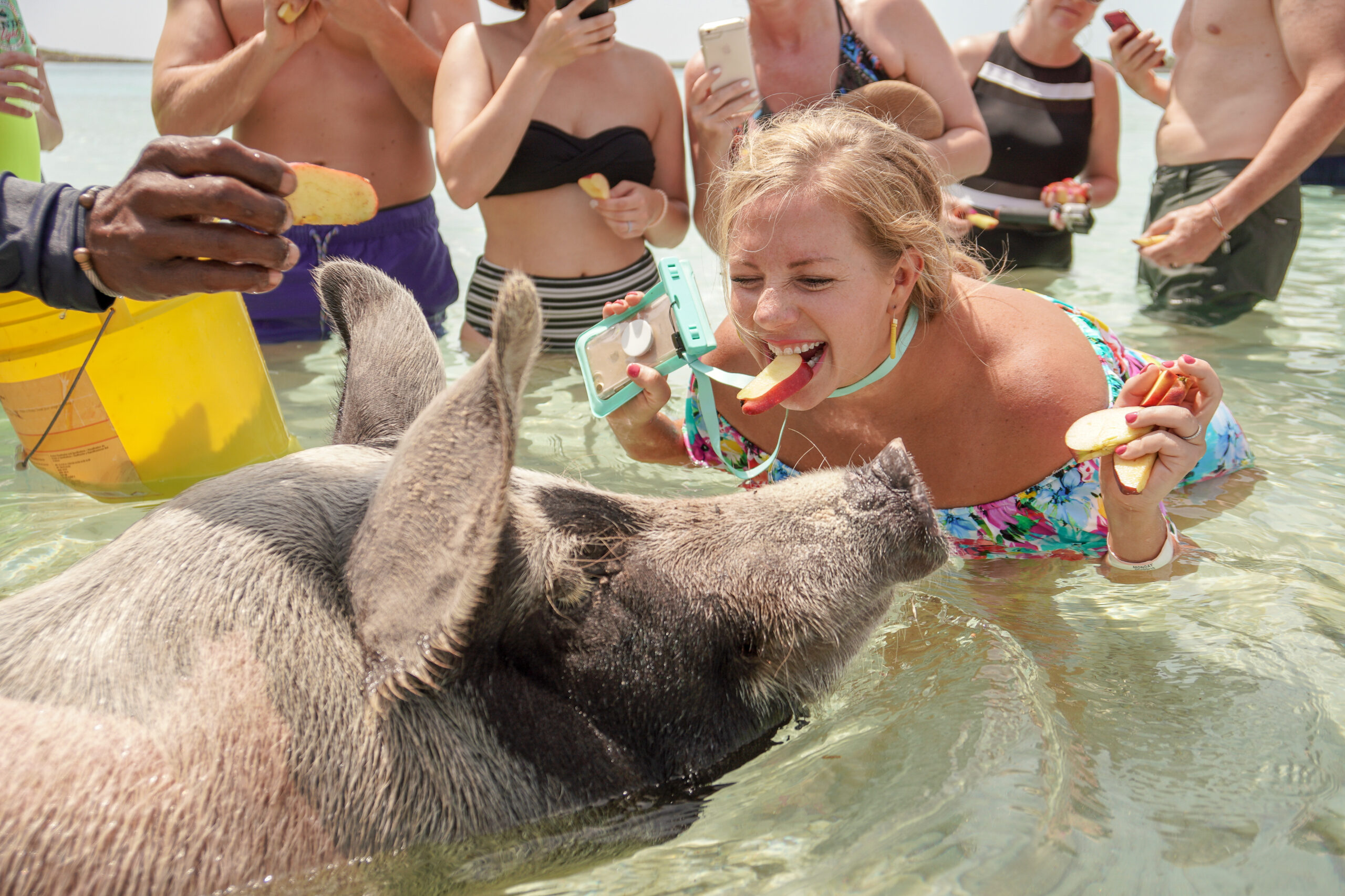 Rose Island Nassau Bahamas | Swimming With Pigs