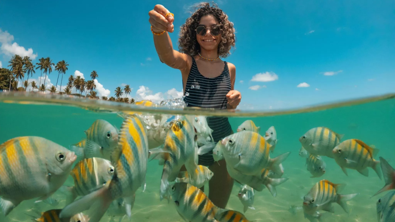 How to Visit Rose Island How to Visit Rose Island