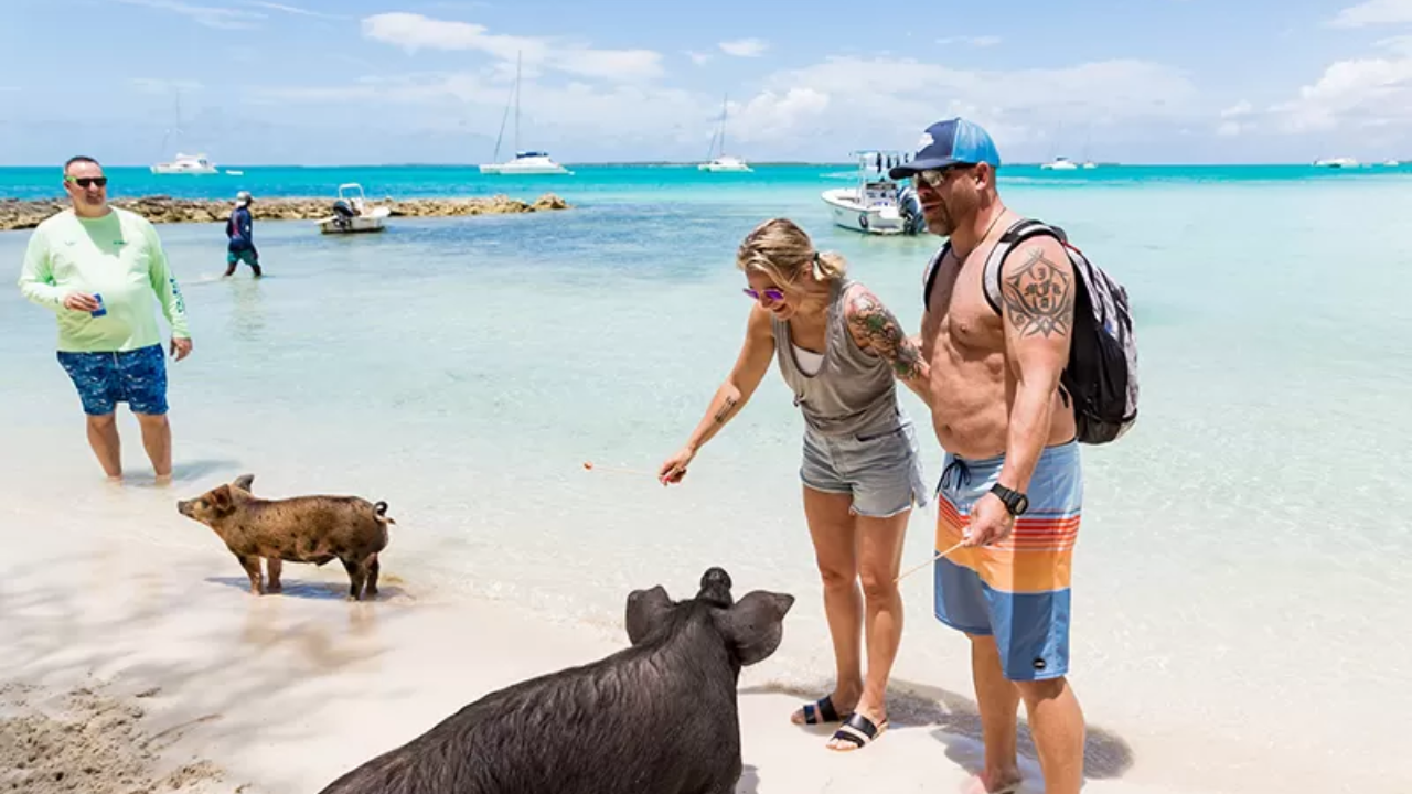 Rose Island vs Big Beach Rose Island vs Big Beach