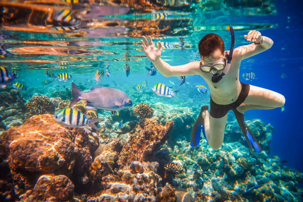 Snorkeling and enjoying underwater fun in the yacht charter Bahamas.
