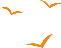 Image is not available