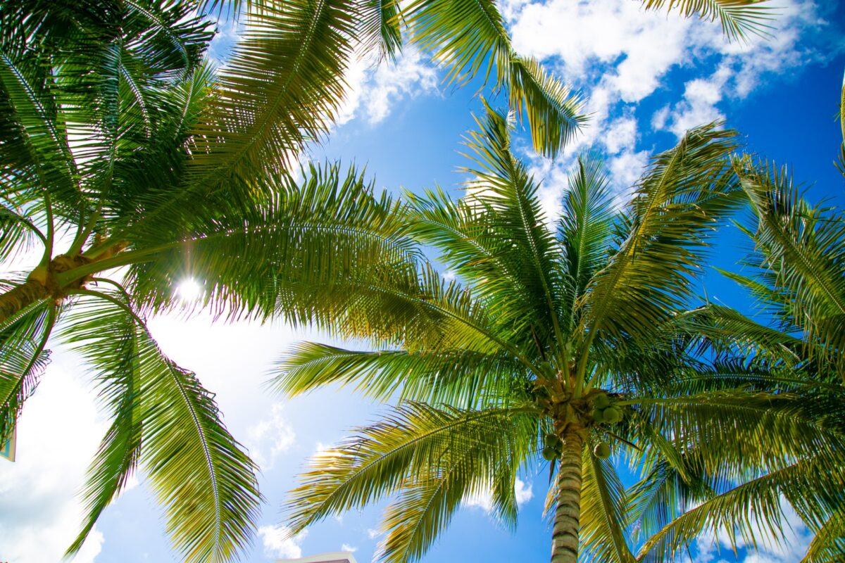 JCO201903071525001623