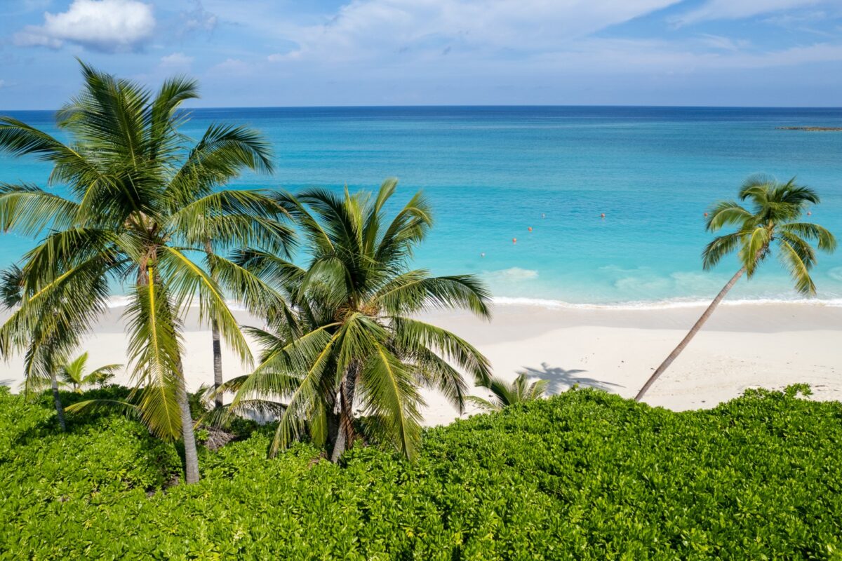 JCO20231010104103DJI