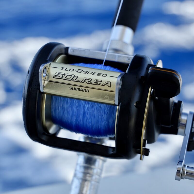 Photo May 06, 10 29 25 AM