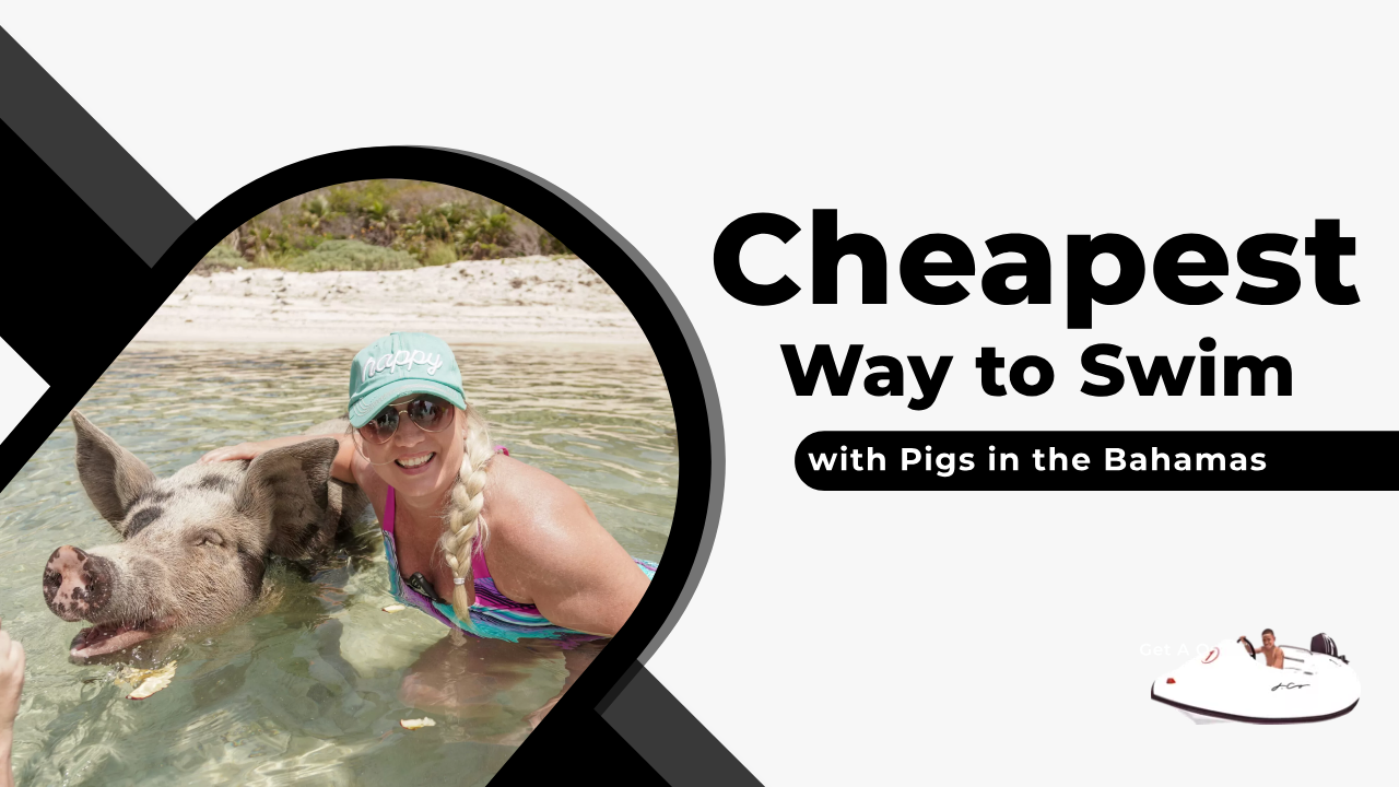 The cheapest way to swim with pigs in the bahamas