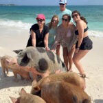 Group of guests posing with pigs on Rose Island Nassau Bahamas